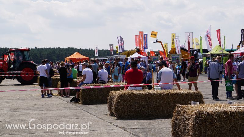 OPOLAGRA 2015 w Kamieniu Śląskim