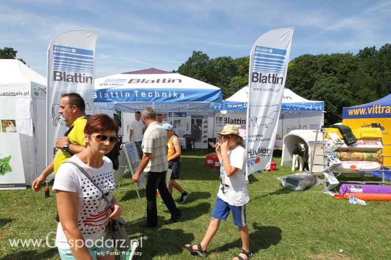 Blattin na Agro-Tech w Minikowie 2016