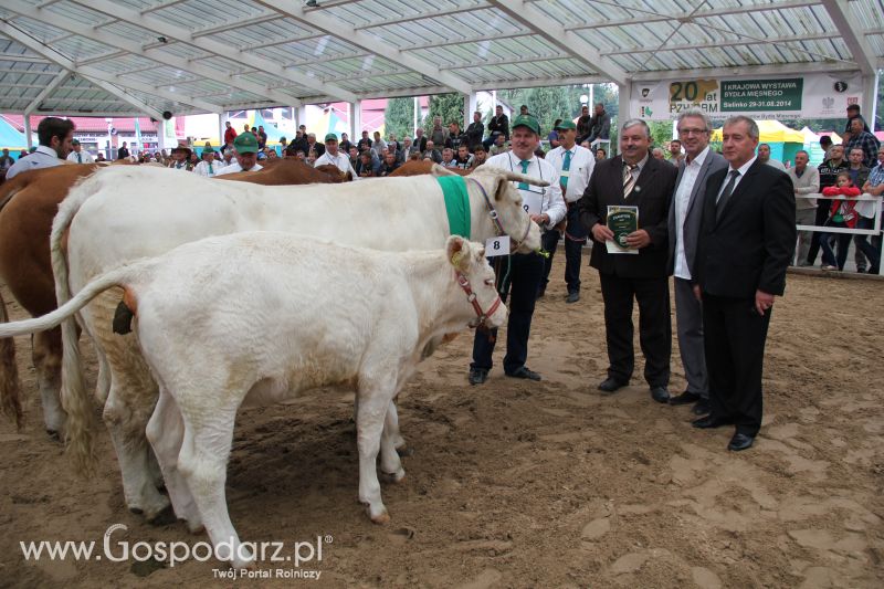 I Krajowa Wystawa Bydła Mięsnego w Sielinku - niedziela