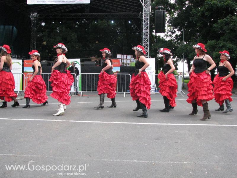 Festiwal Wieprzowiny w Koźminie Wielkopolskim 2013