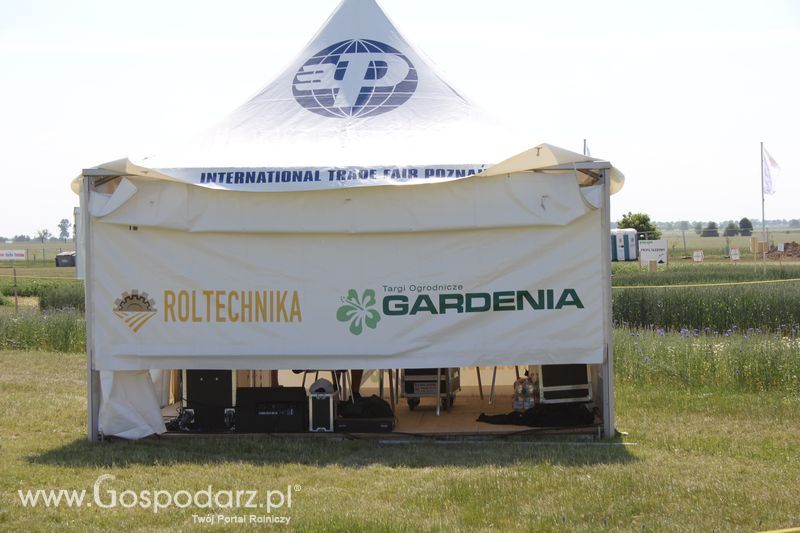 Polskie Zboża 2011 - Sobota