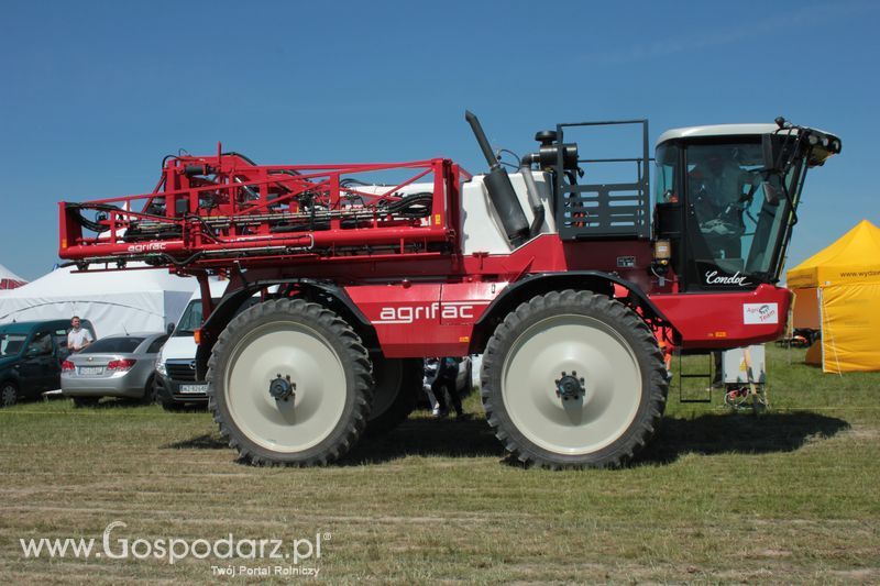 Polskie Zboża 2011 - Piątek 