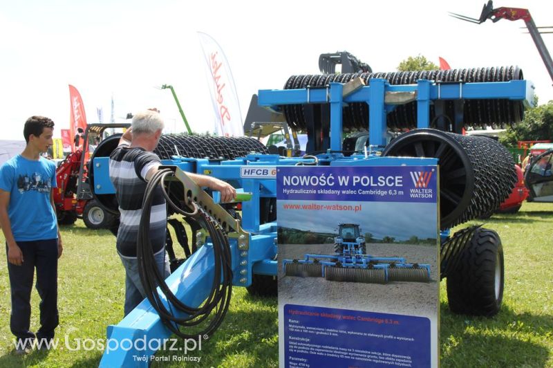 McHale - Minikowo 2012