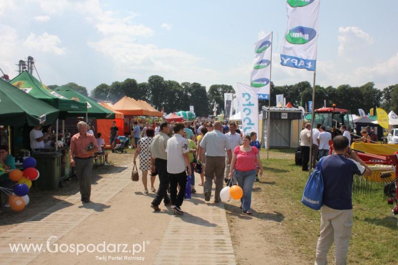 Regionalna Wystawa Zwierząt Hodowlanych i Dni z Doradztwem Rolniczym w Szepietowie-niedziela