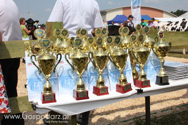Superchampioni i championi Śląskiej Wystawy Bydła Mlecznego Opolagra 2011