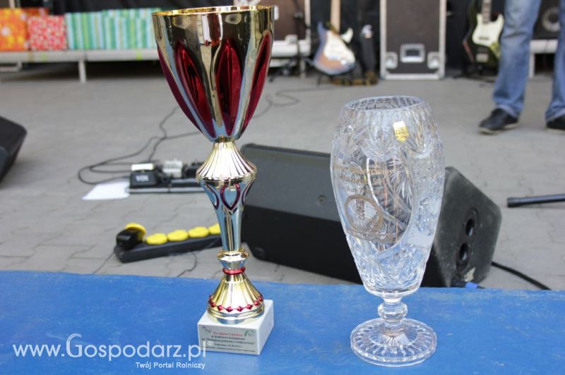 II Festiwal Wieprzowiny w Wąbrzeźnie