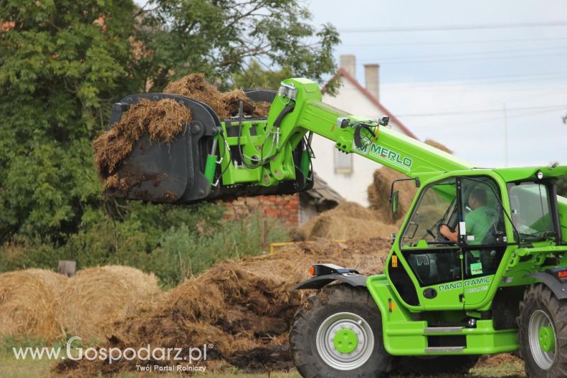 Pokazy Polowe z firmą Bogart