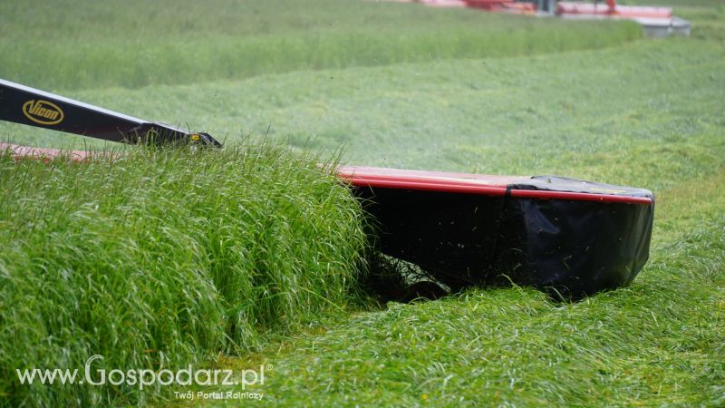 ZIELONE AGRO SHOW 2017 w Ułężu (niedziela, 28 maja)