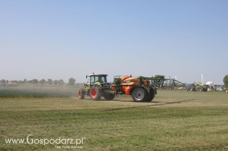 Polskie Zboża 2011 - Piątek 