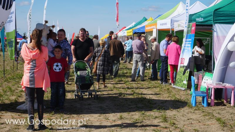 V Wojewódzki Konkurs ORKI