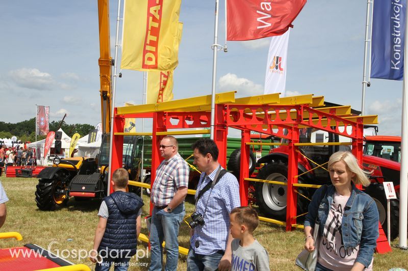 Zielone AGRO SHOW - Polskie Zboża 2015 w Sielinku