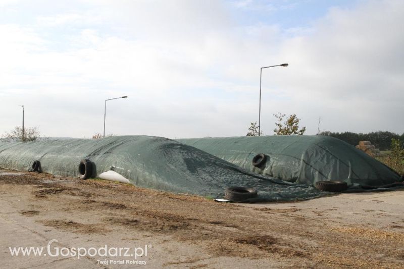 Wyjazd studyjny na farmę Langengrassau w Niemczech