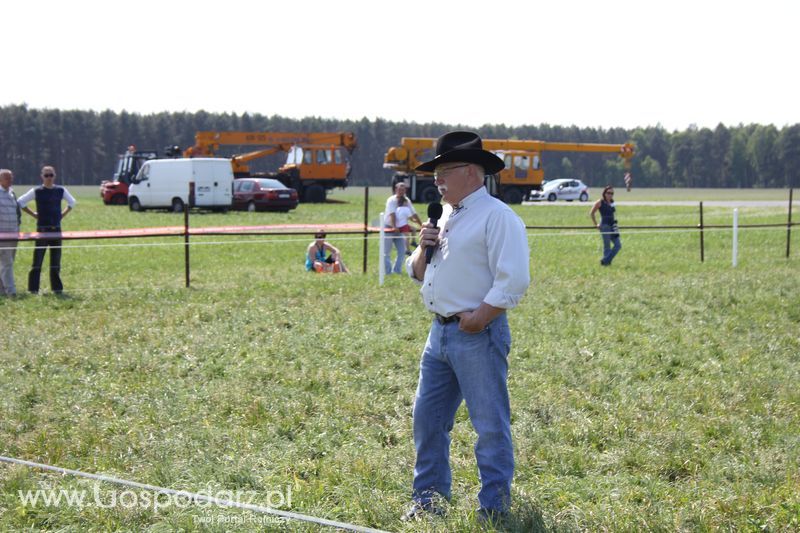Wypas bydła - Zielone Agro Show 2011 Kąkolewo 