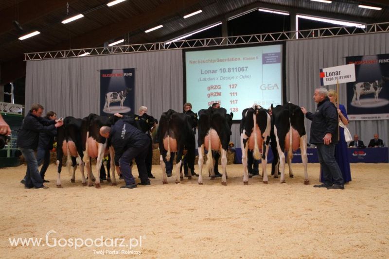 Wystawa  Blickpunkt Rind 2013 w miejscowości Paaren/Glien (Niemcy)