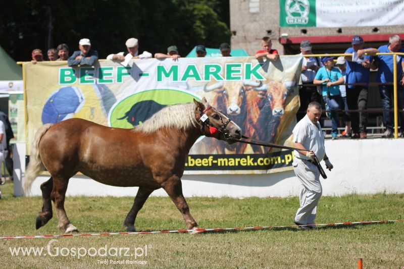 Wystawa zwierząt w Szepietowie