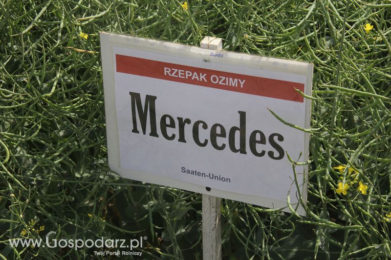 Zielone AGRO SHOW - Polskie Zboża 2015 w Sielinku