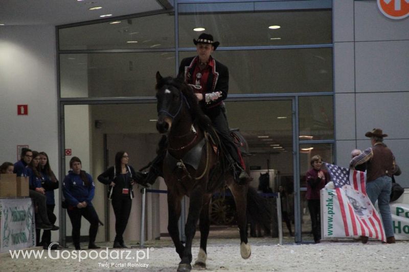 CAVALIADA 2013 w Poznaniu