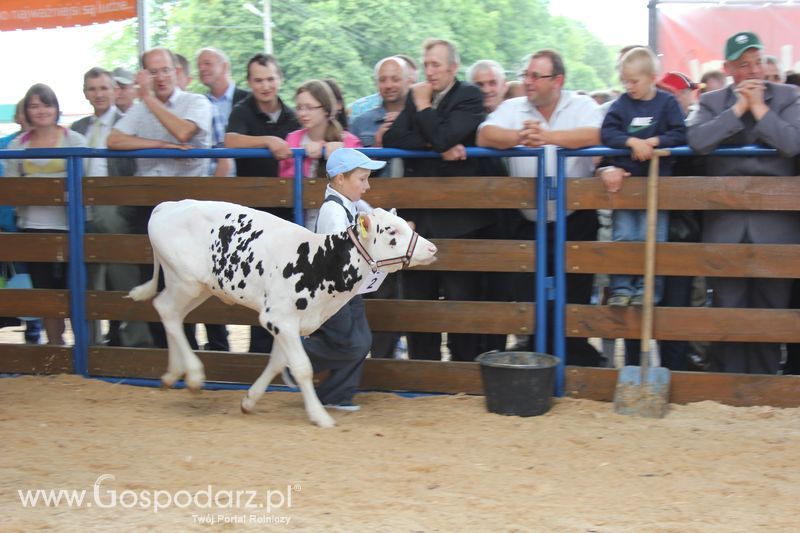 Młody hodowca na XVIII Regionalnej Wystawie Zwierząt Hodowlanych w Szepietowie