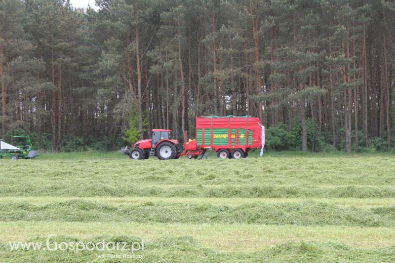 Pokazy maszyn Polskie Zboża Zielone Agro Show 2013