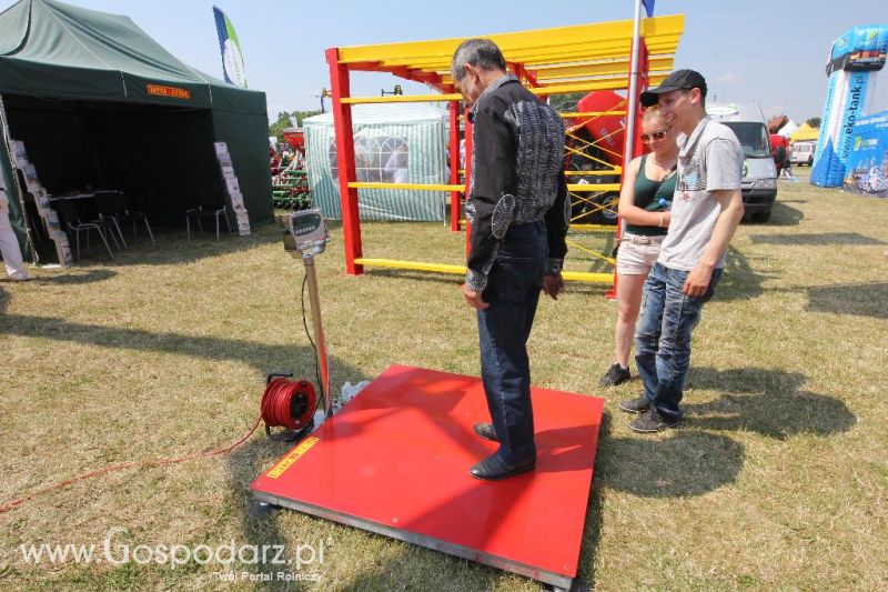 AGRO-TECH Minikowo 2014 - niedziela