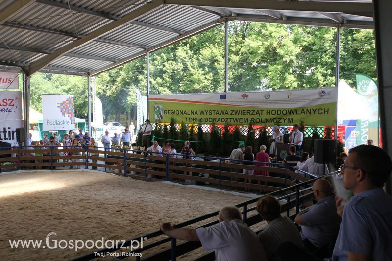  Regionalna Wystawa Zwierząt Hodowlanych W Szepietowie 2016 z Gospodarz.pl