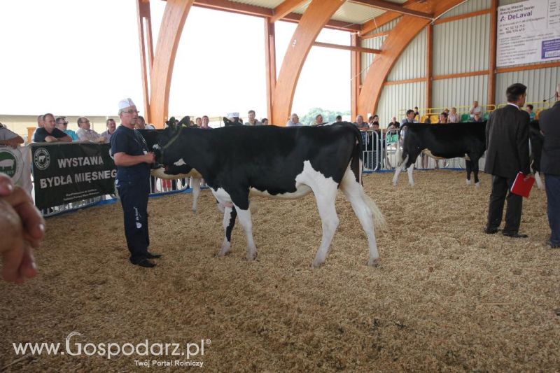 AGRO-TECH Minikowo 2014 - sobota