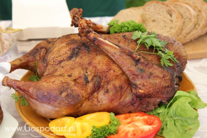 IX Święto Gęsi w Biskupcu
