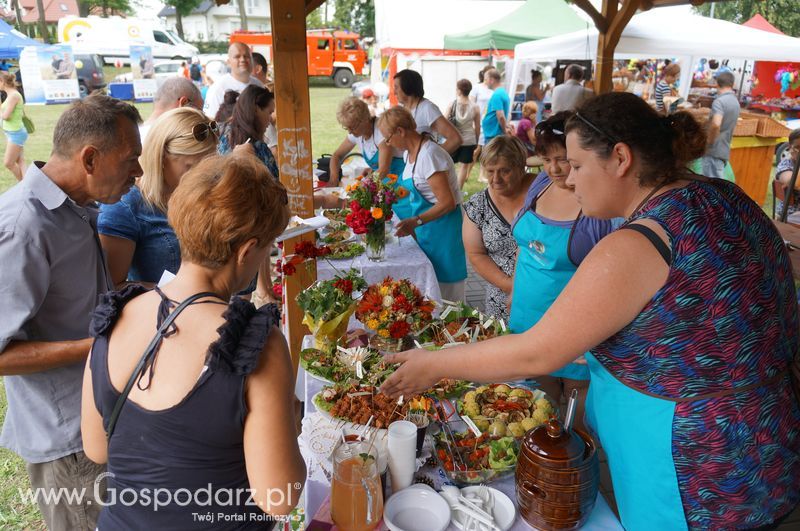 Święto Indyka - Nowa Wieś k. Iławy 26 czerwca 2016