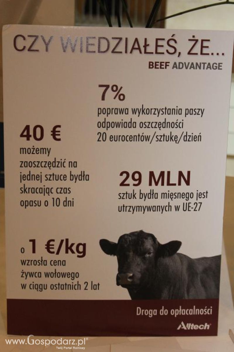 Stay Curious Europejska Trasa Wykładowa Alltech w Poznaniu