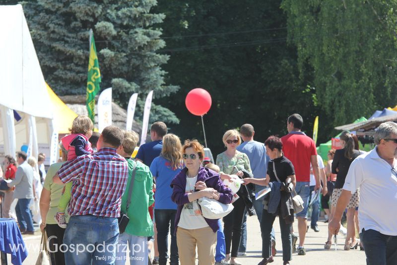 Targi rolne w Szepietowie (27-28.06.2015)