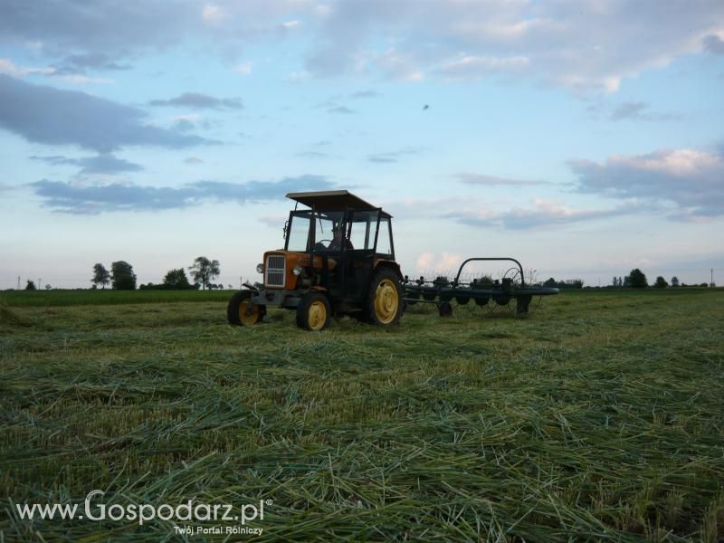 Akcjia Żyto 2011 z MrZgredy;)