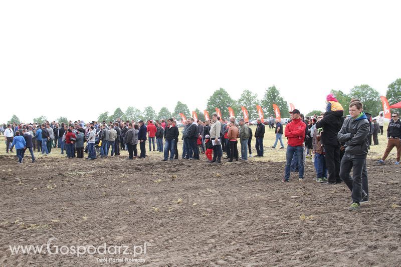 Majówka z Zetorem w Brzeziu