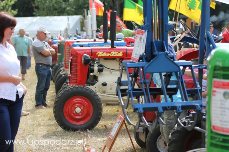 XII Festiwal Starych Ciągników im. Jerzego Samelczaka w Wilkowicach 2013 - sobota