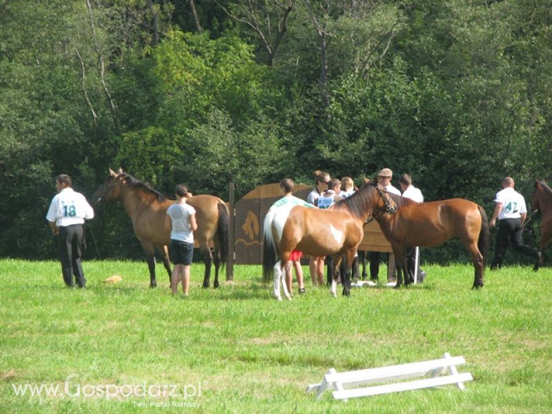 Krajowa Wystawa Ras Rodzimych Rudawka Rymanowska 2012