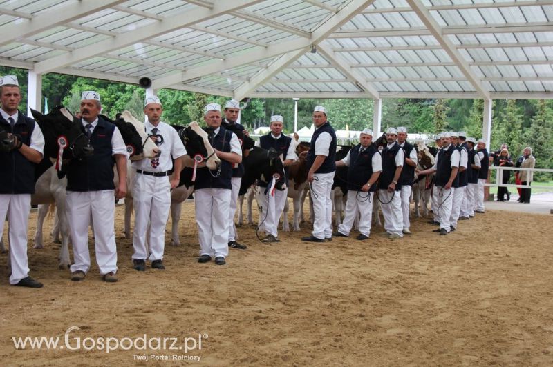 Prezentacja Championów na VII Ogólnopolskiej Wystawie Bydła Hodowlanego w Sielinku 2012