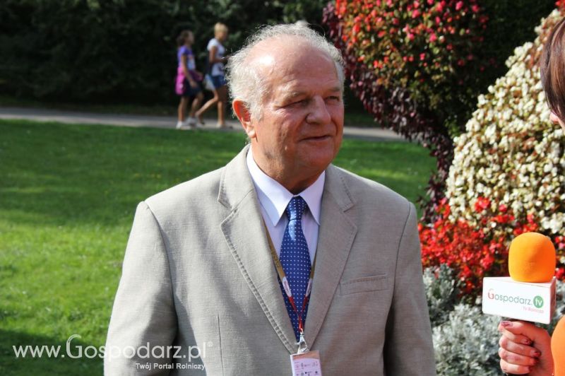 Świętomięs Polski w Chorzowie