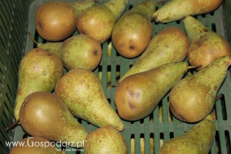 Relacja z XI Międzynarodowych Targów Fermy Bydła - dzień 3