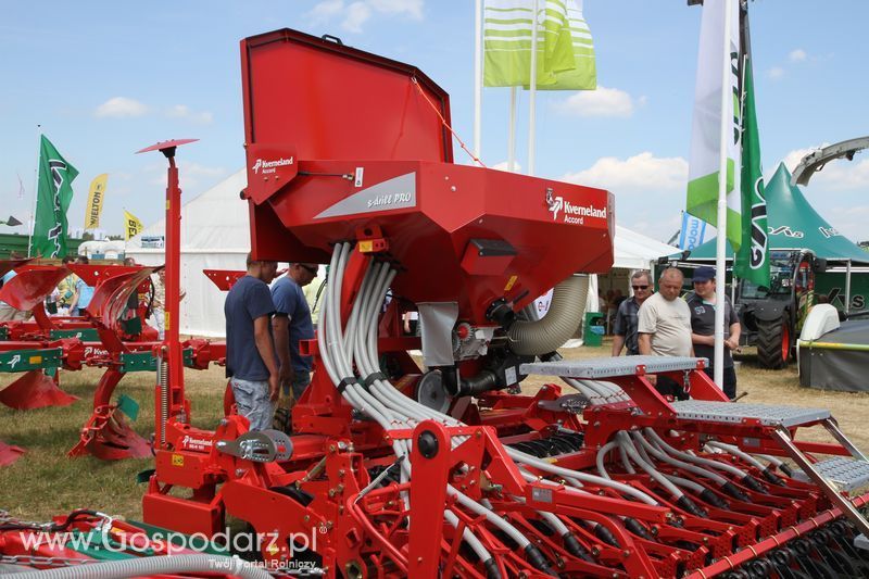 OPOLAGRA 2015 w Kamieniu Śląskim