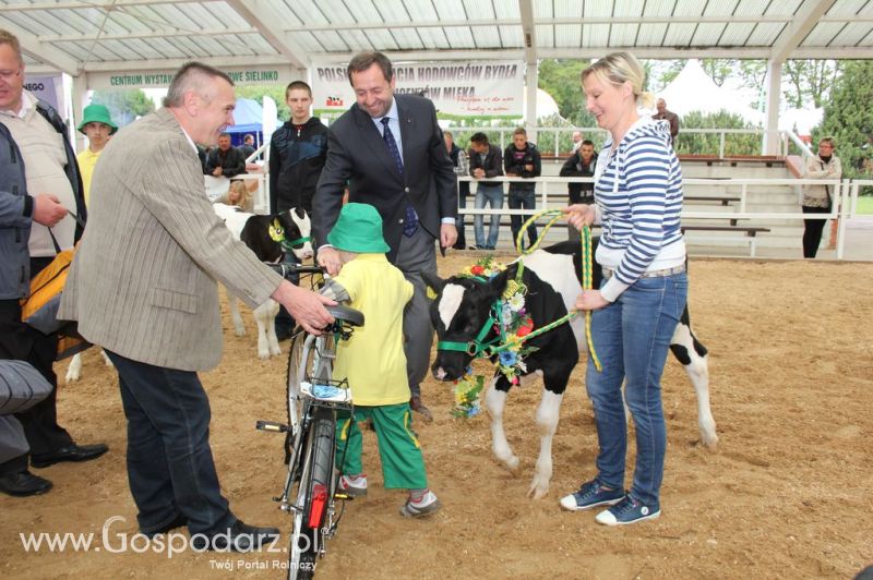 Mali Hodowcy VII Ogólnopolska Wystawa Bydła Hodowlanego w Sielinku 2012