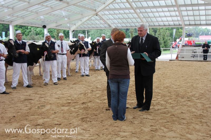 Prezentacja Championów na VII Ogólnopolskiej Wystawie Bydła Hodowlanego w Sielinku 2012