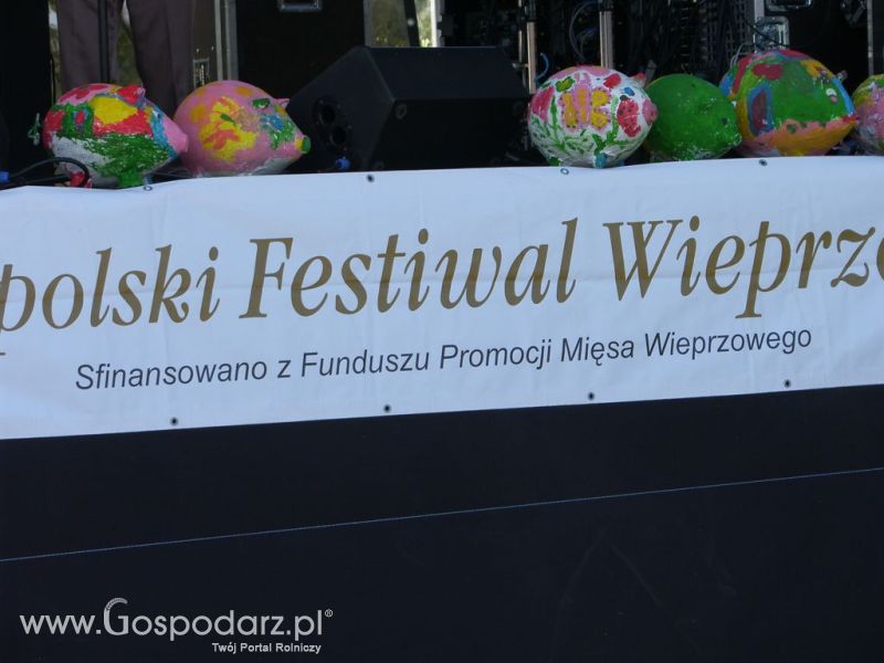 Festiwal Wieprzowiny Targowisko Dolne k/Lubawy 2012