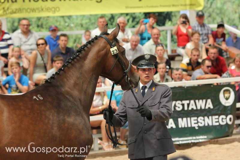 Zielone AGRO SHOW – POLSKIE ZBOŻA 2014 w Sielinku - niedziela