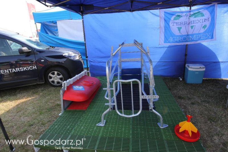 AGRO-TECH Minikowo 2014 - niedziela