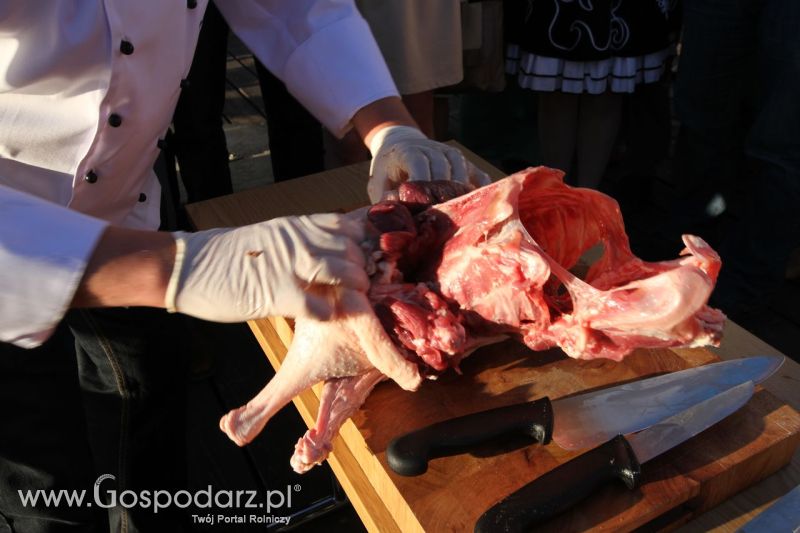 Rynek mięsa gęsiego i jego walory z okazji X Święta Gęsi