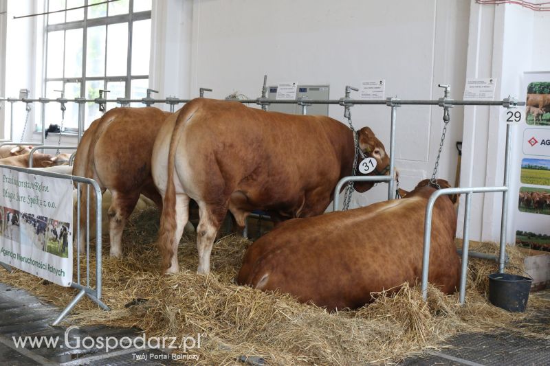 Krajowa Wystawa Zwierząt Hodowlanych w Poznaniu 2017 (piątek, 5 maja)