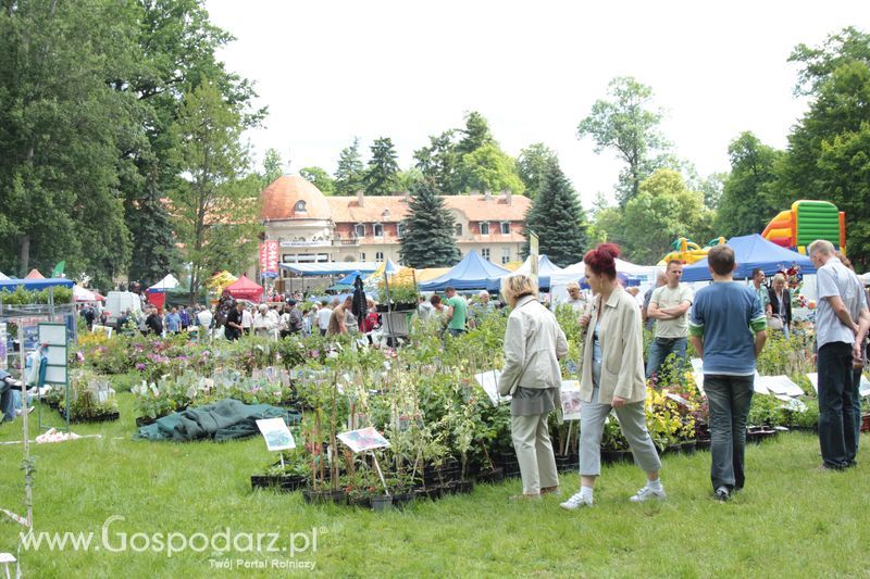 XX Targi Rolnicze Lubniewice 