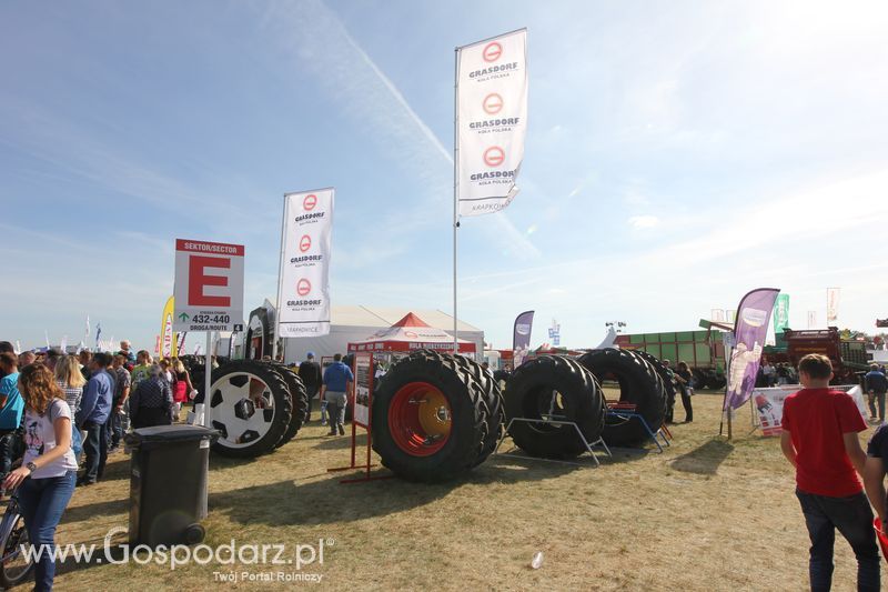 Grasdorf na AGRO SHOW 2016