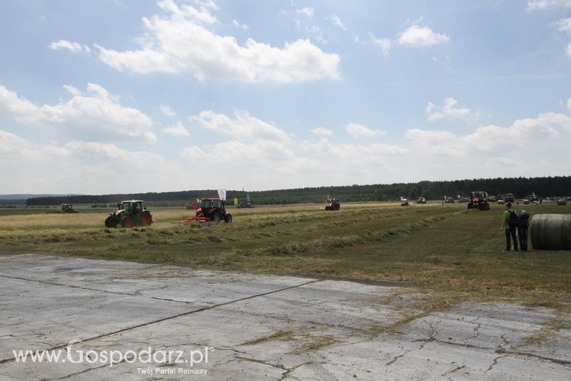 OPOLAGRA 2015 w Kamieniu Śląskim