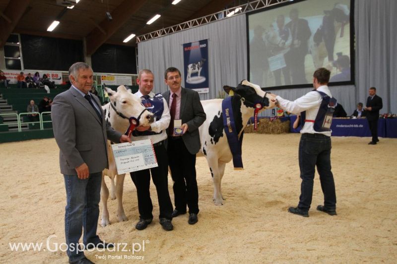 Wystawa  Blickpunkt Rind 2013 w miejscowości Paaren/Glien (Niemcy)