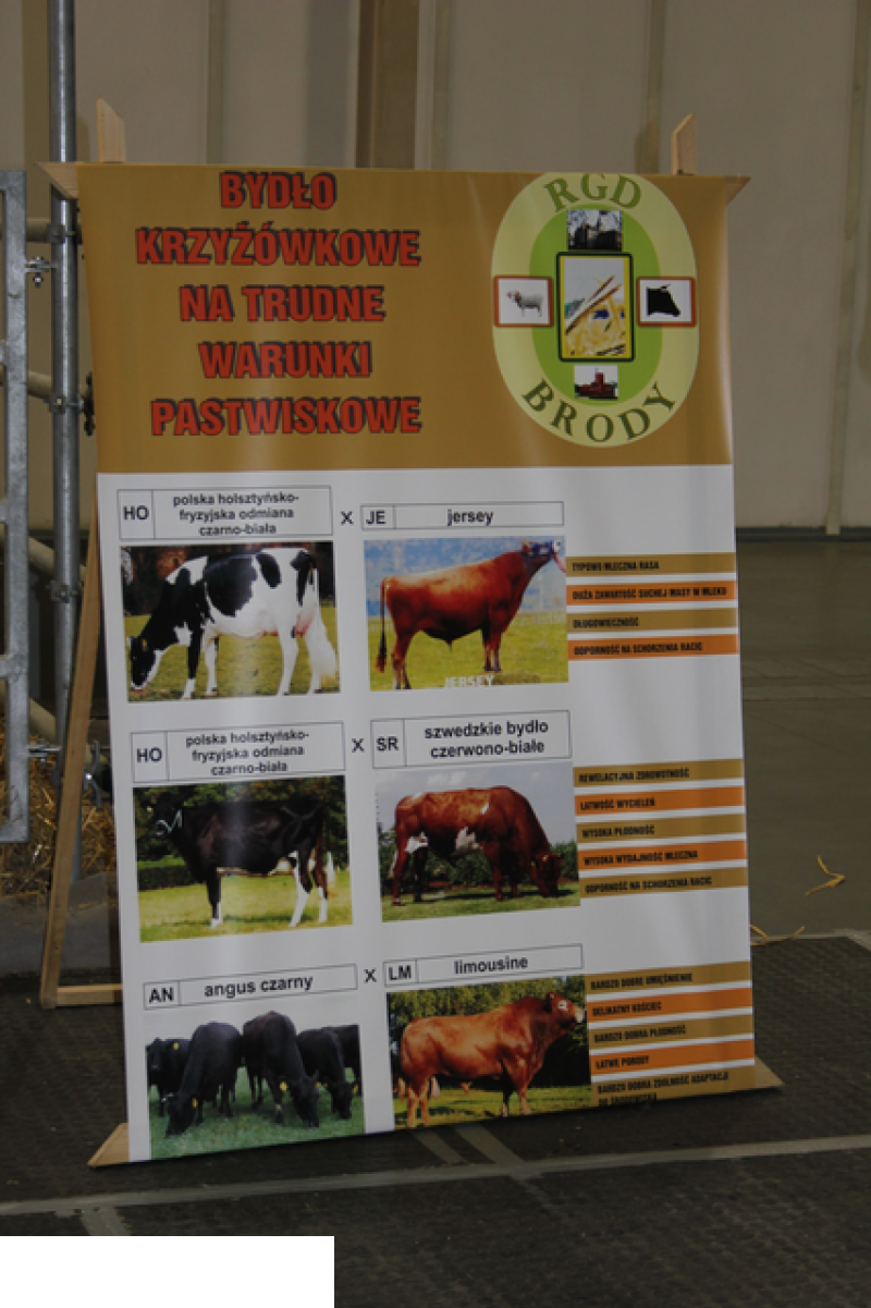 Międzynarodowe Targi Hodowli Zwierząt FARMA